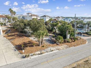 Rare Opportunity to own one of the few remaining lots in Blue - photo 17