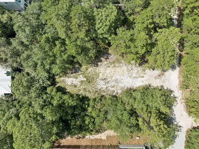 Rare opportunity to own a homesite on one of Gulf Shore Manor's - photo 18
