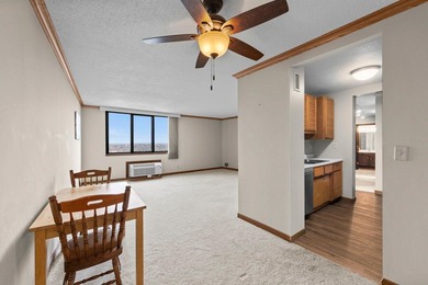 Enjoy the view of all of St. Paul & beyond our your 17th floor - photo 18