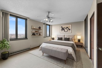 Enjoy the view of all of St. Paul & beyond our your 17th floor - photo 20