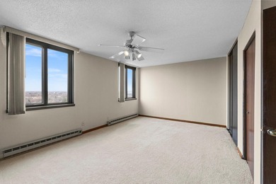 Enjoy the view of all of St. Paul & beyond our your 17th floor - photo 21