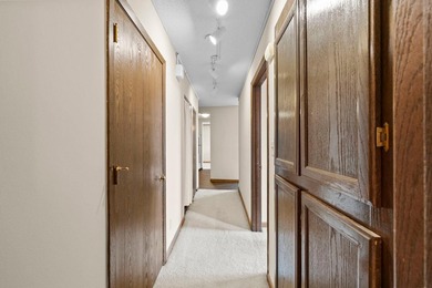 Enjoy the view of all of St. Paul & beyond our your 17th floor - photo 29