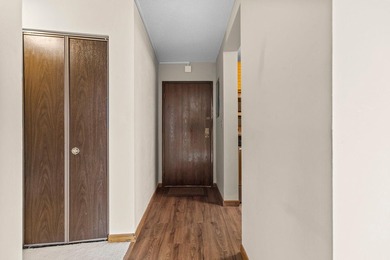 Enjoy the view of all of St. Paul & beyond our your 17th floor - photo 31