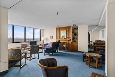 Enjoy the view of all of St. Paul & beyond our your 17th floor - photo 34