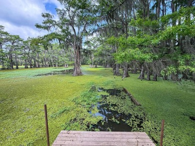 Escape to your own private retreat on the legendary Caddo Lake a - photo 39