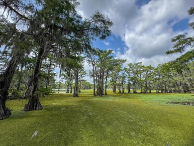 Escape to your own private retreat on the legendary Caddo Lake a - photo 40