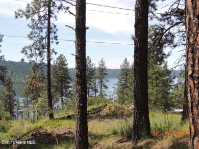 Lake Lot For Sale in Harrison, Idaho