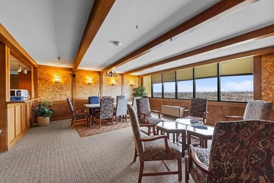 Enjoy the view of all of St. Paul & beyond our your 17th floor - photo 41
