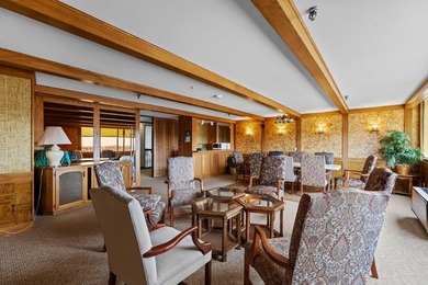 Enjoy the view of all of St. Paul & beyond our your 17th floor - photo 43