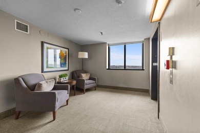 Enjoy the view of all of St. Paul & beyond our your 17th floor - photo 45
