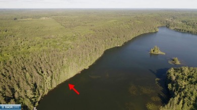 (private lake, pond, creek) Acreage For Sale in Effie Minnesota