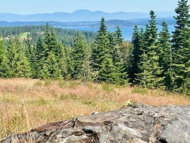 Coeur d Alene Lake Acreage For Sale in Harrison Idaho