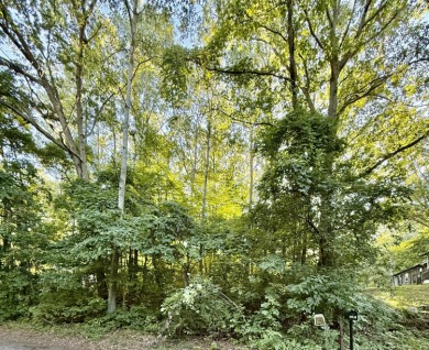 (private lake, pond, creek) Lot For Sale in Sand Lake Michigan