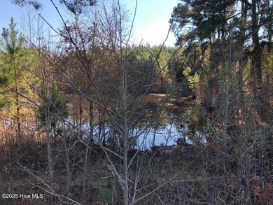 (private lake, pond, coastal) Home Active Under Contract in Rockingham North Carolina