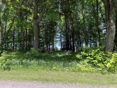 Chaney Lake Lot For Sale in Wakefield Michigan