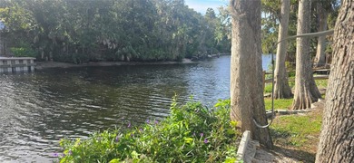 (private lake, pond, creek) Home For Sale in Brandon Florida