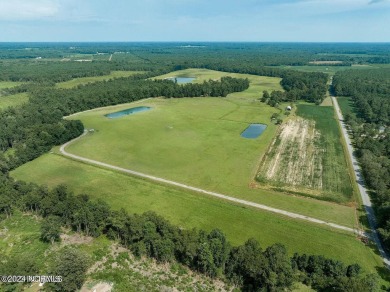 (private lake, pond, creek) Acreage For Sale in Kenansville North Carolina