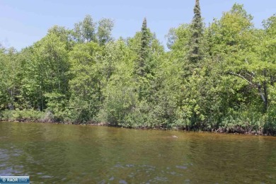 Lake Vermilion Acreage For Sale in Cook Minnesota