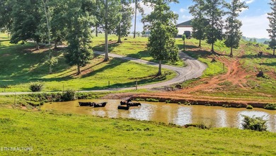 Welcome to one of East Tennessee's most extraordinary legacy - photo 6