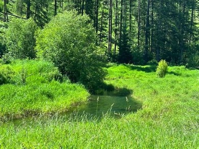 Saw Creek Ranch --Gem of the North-West! Own your very own 337 - photo 9