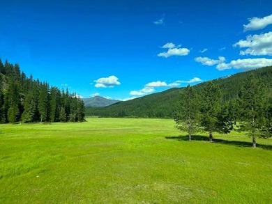 Saw Creek Ranch --Gem of the North-West! Own your very own 337 - photo 10