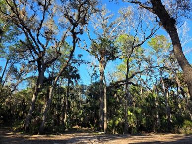 (private lake, pond, coastal) Acreage For Sale in Osteen Florida