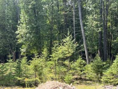 Lot 70 Old Orchard Subdivision boast 100' of frontage on Rocky - photo 13