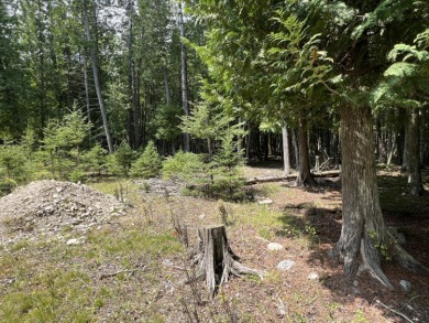 Lot 70 Old Orchard Subdivision boast 100' of frontage on Rocky - photo 17