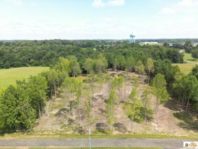 Lake Cumberland Lot For Sale in Jamestown Kentucky