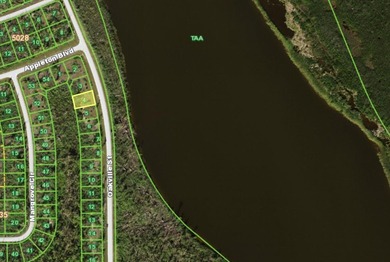 Peace, privacy, and endless potential await in South Gulf Cove - photo 1
