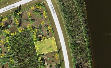 Peace, privacy, and endless potential await in South Gulf Cove - photo 2