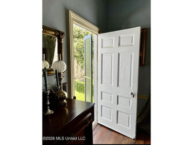 STEP INTO A PIECE OF NATCHEZ HISTORY WITH THE BREATHTAKING OAK - photo 29