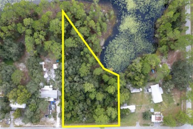 (private lake, pond, creek) Lot For Sale in Eustis Florida