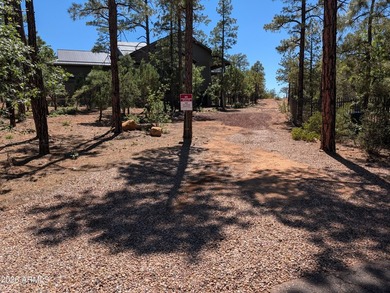 Stunning Custom Home in Sierra Pines - 3 Bed, 2 Bath on Nearly 1 - photo 4