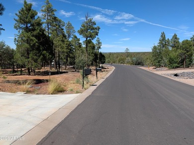 Stunning Custom Home in Sierra Pines - 3 Bed, 2 Bath on Nearly 1 - photo 5