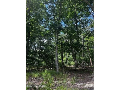 Build your dream home on this beautiful, oversized lot in the - photo 2