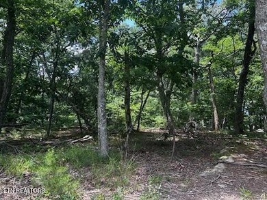 Build your dream home on this beautiful, oversized lot in the - photo 3
