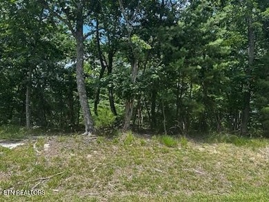 Build your dream home on this beautiful, oversized lot in the - photo 4