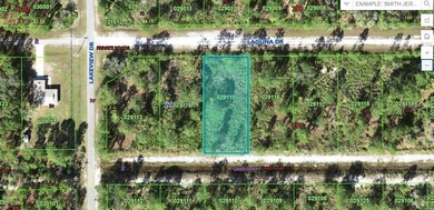Lake Weohyakapka Lot For Sale in Indian Lake Estates Florida