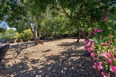 Charming Castro Valley home with Natural Beauty of a Back Yard - photo 12