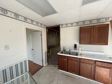 PRICE IMPROVEMENT ....ENDLESS BUSINESS POSSIBILITIES FOR THIS - photo 12