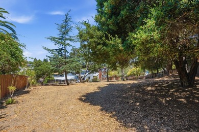 Charming Castro Valley home with Natural Beauty of a Back Yard - photo 13