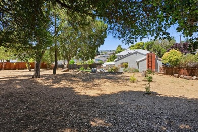 Charming Castro Valley home with Natural Beauty of a Back Yard - photo 15