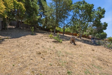 Charming Castro Valley home with Natural Beauty of a Back Yard - photo 16