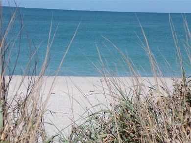 Rare opportunity to own one of Venice's coveted Gulf front - photo 27