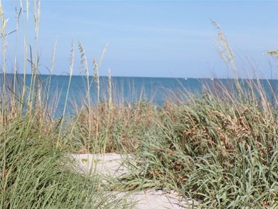 Rare opportunity to own one of Venice's coveted Gulf front - photo 28