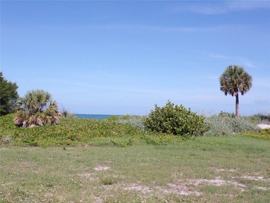 Rare opportunity to own one of Venice's coveted Gulf front - photo 29