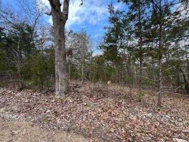 Bull Shoals Lake Lot For Sale in Lead Hill Arkansas