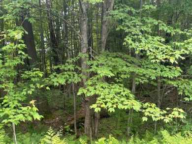 Connecticut River - Essex County Lot For Sale in Brighton Vermont