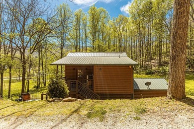 Set on 27.4 acres of rolling pasture and mountain-view land, 440 - photo 8